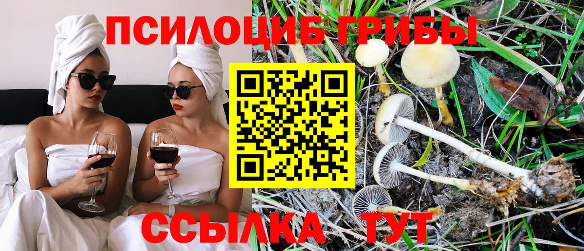 Вичуга  Псилоцибиновые грибы GOLDEN TEACHER  Вход с VPN 